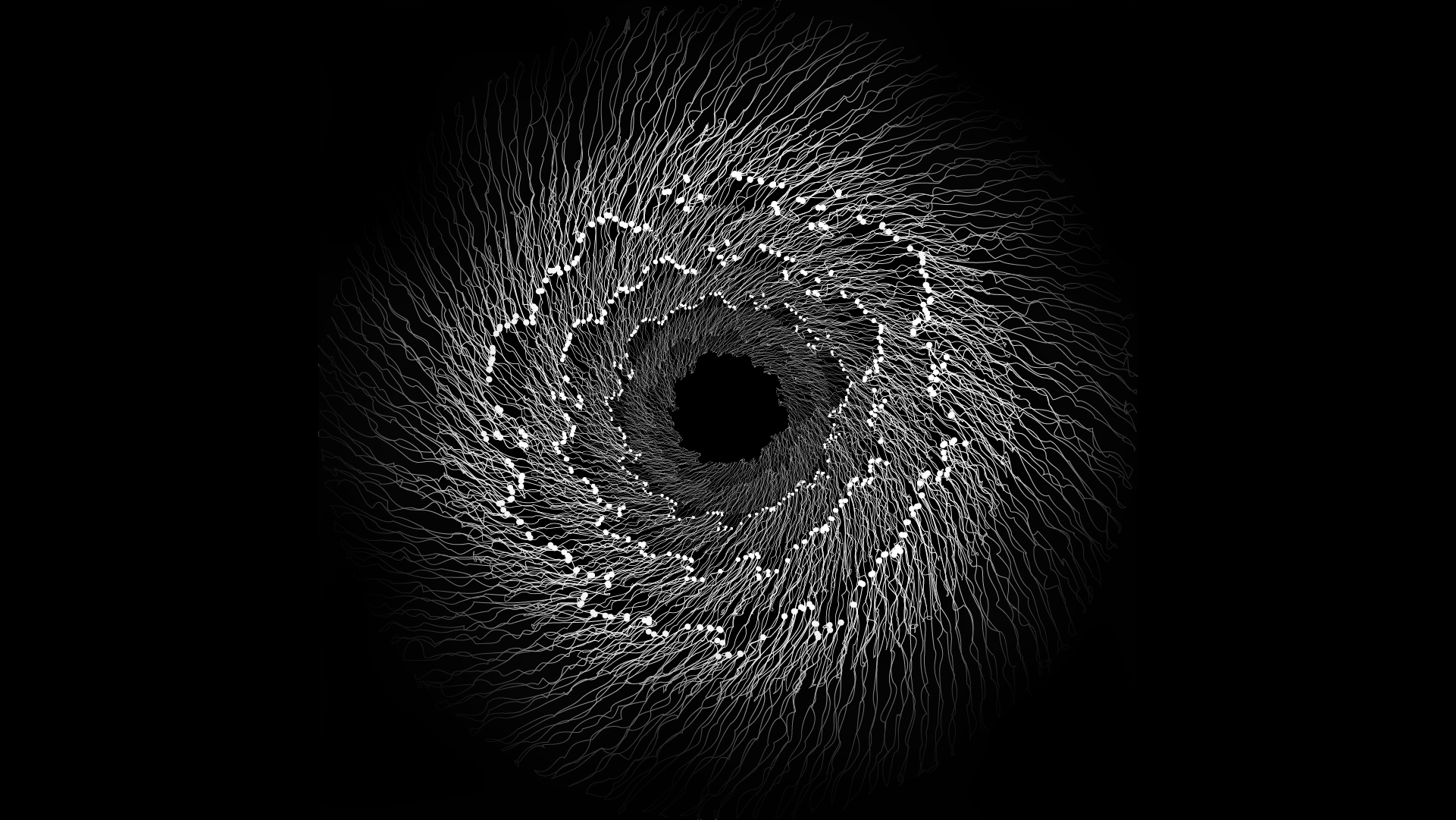 vortex